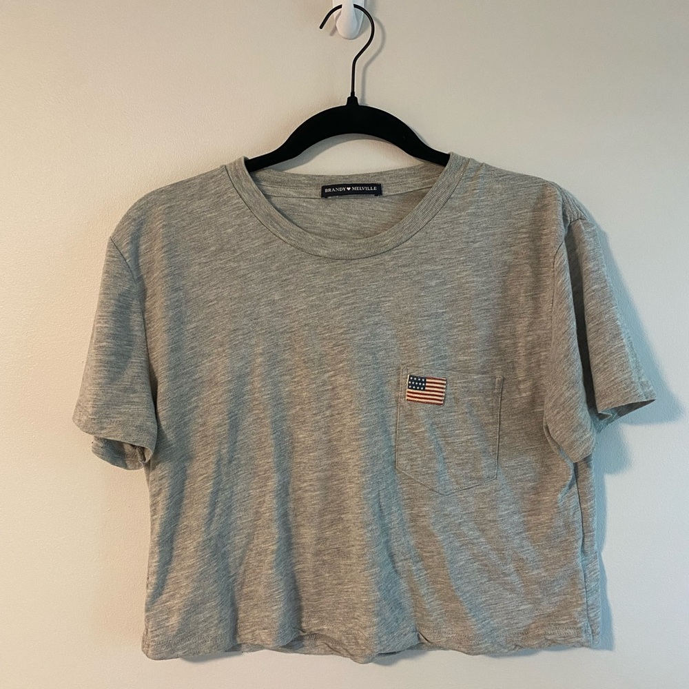 Brandy Melville crop top